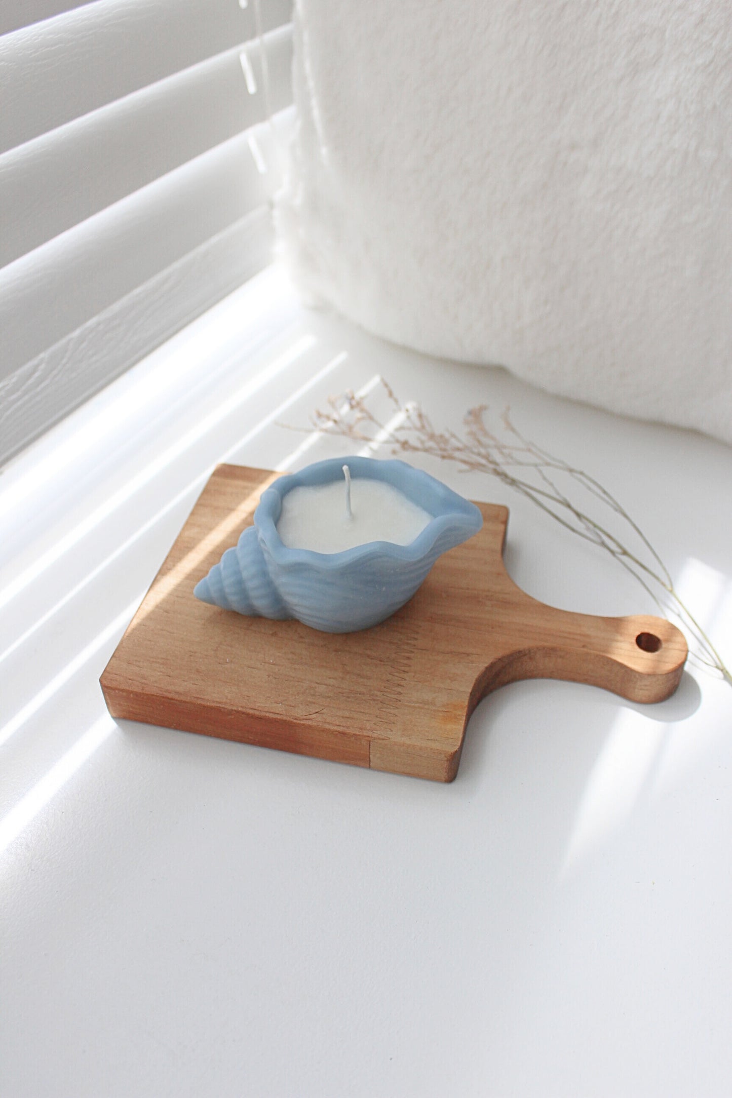 Seashell Candle