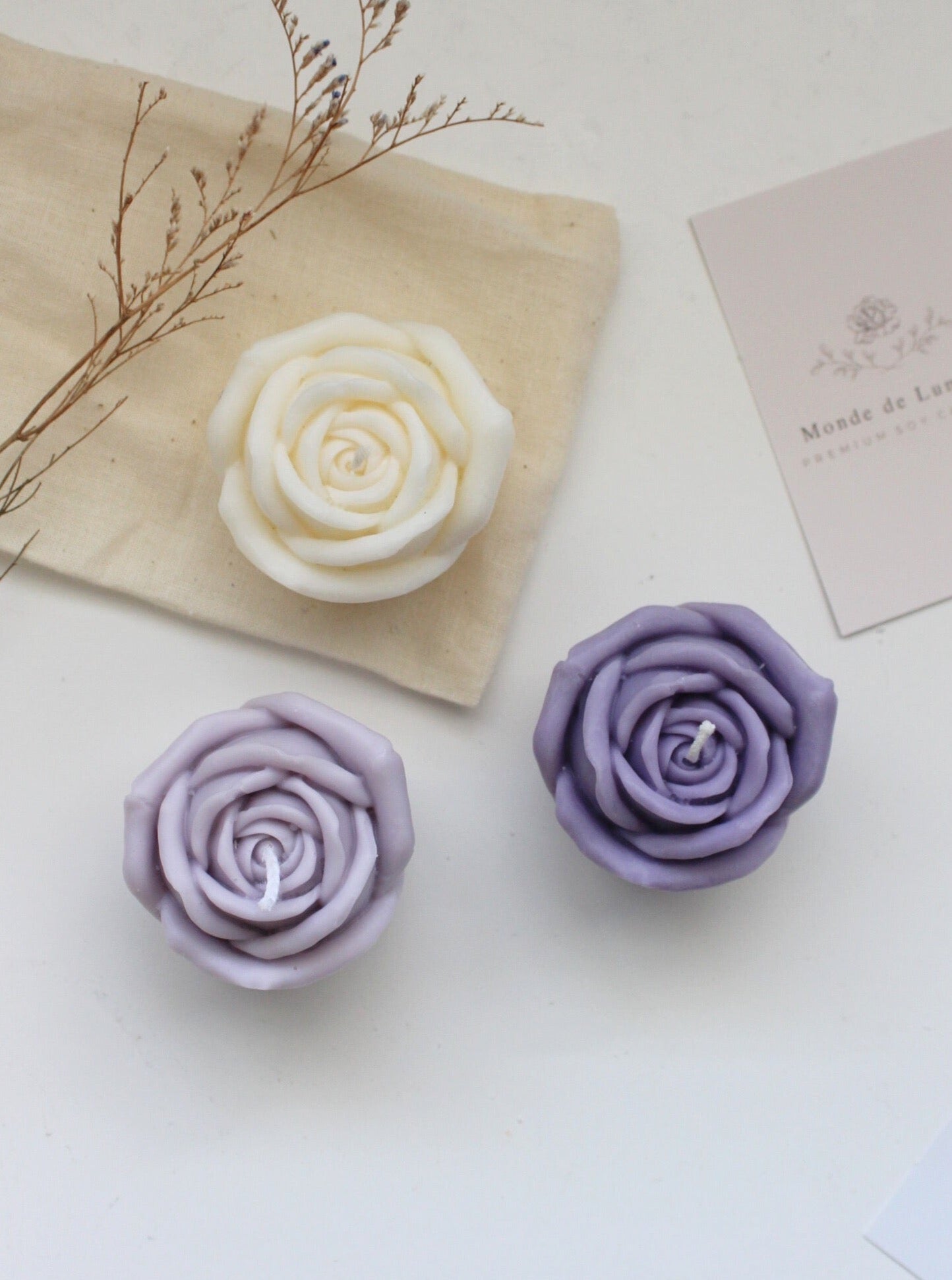 Lovely Rose
