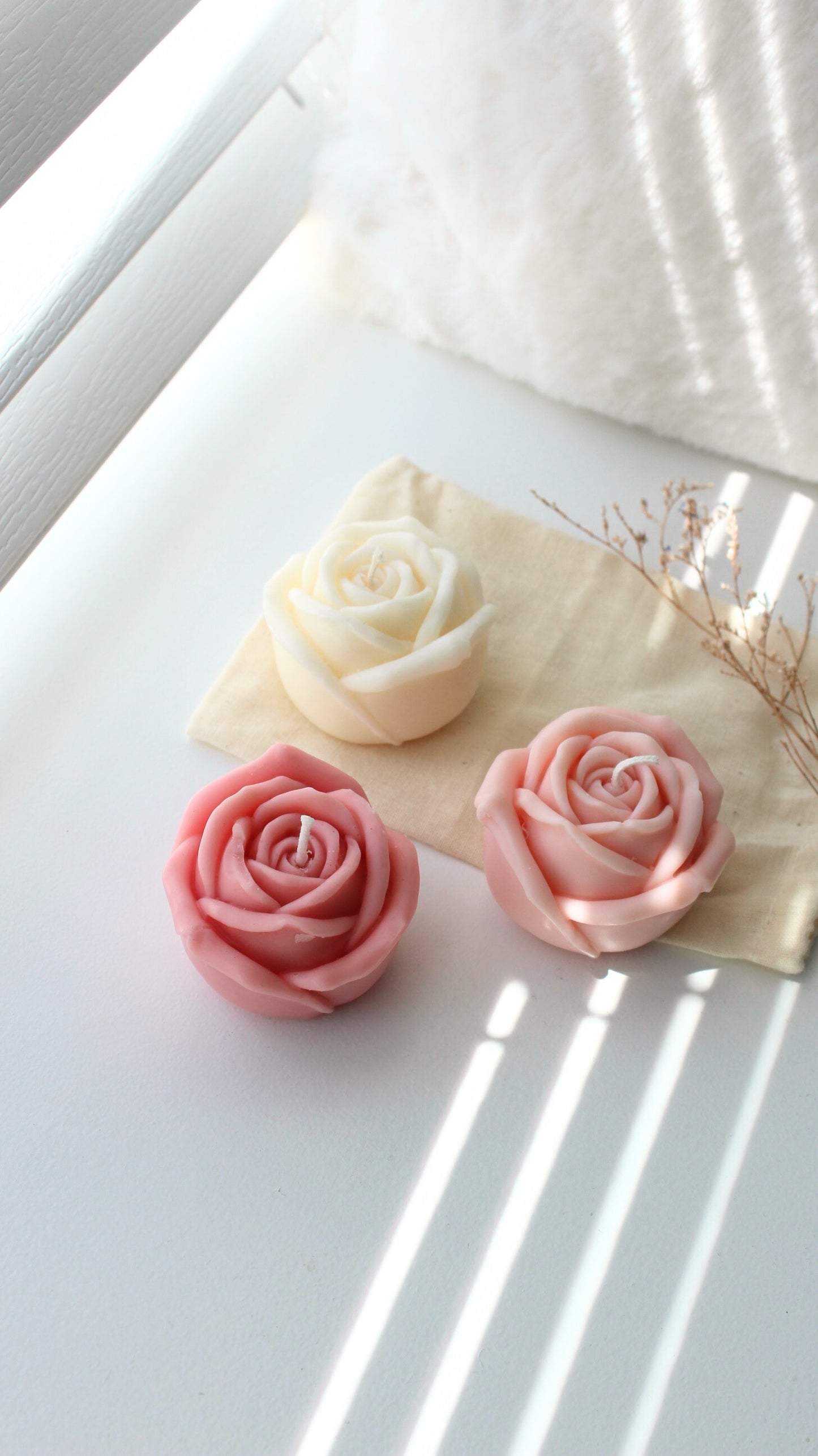 Lovely Rose